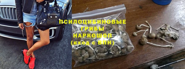 прущая мука Гусиноозёрск